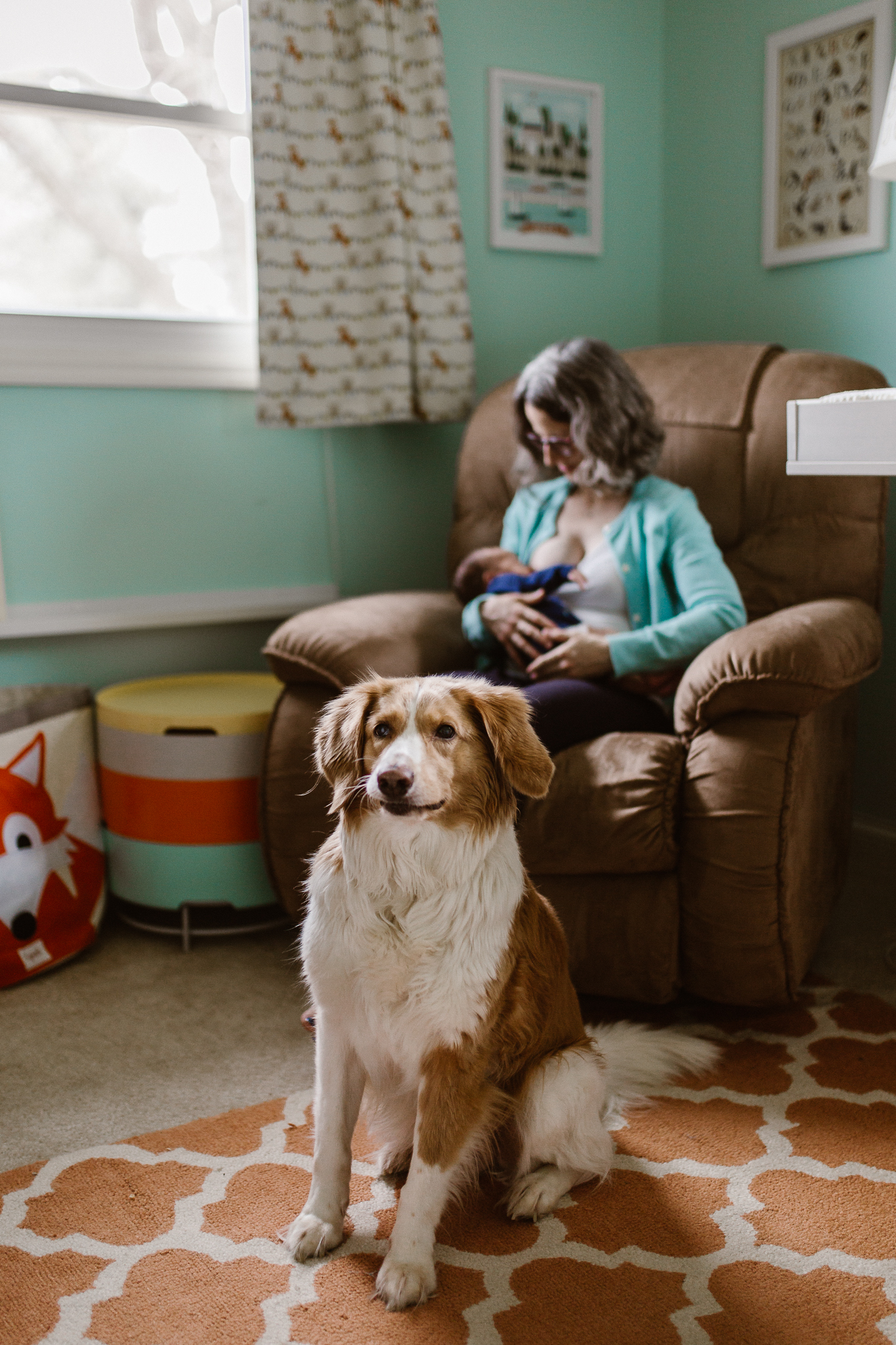 Family dog sitting in the nursery in front of mother and baby.