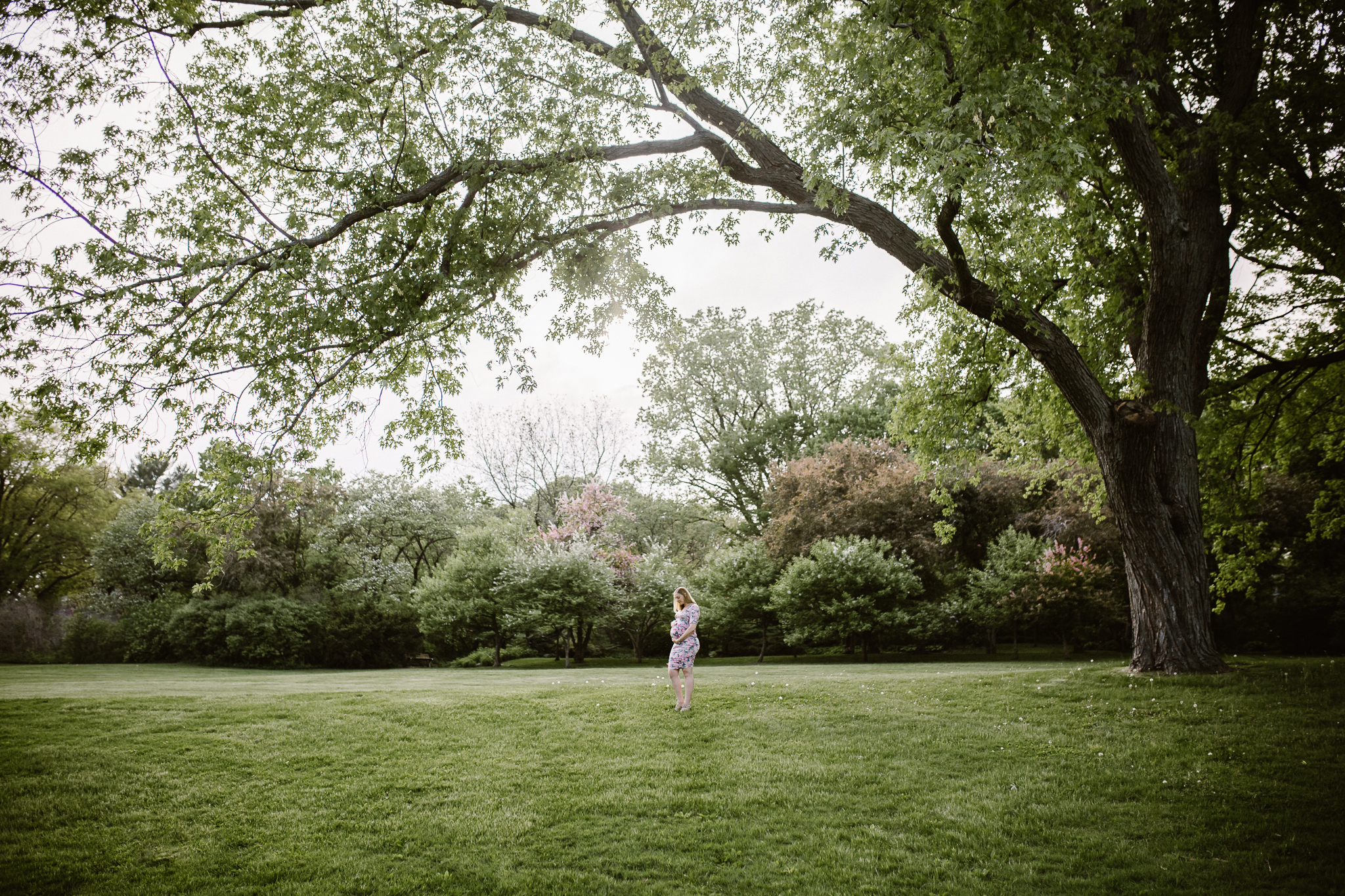 Expecting mother standing in the distance under a large tree.