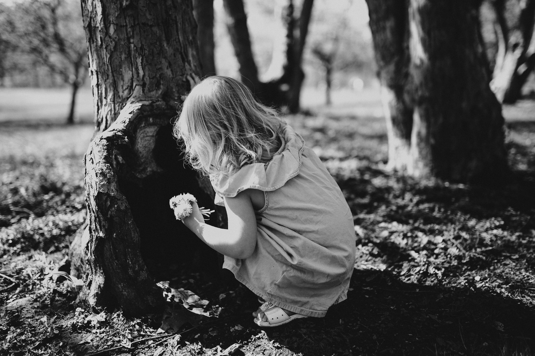 Little girl bent down, exploring an empty tree trunk.