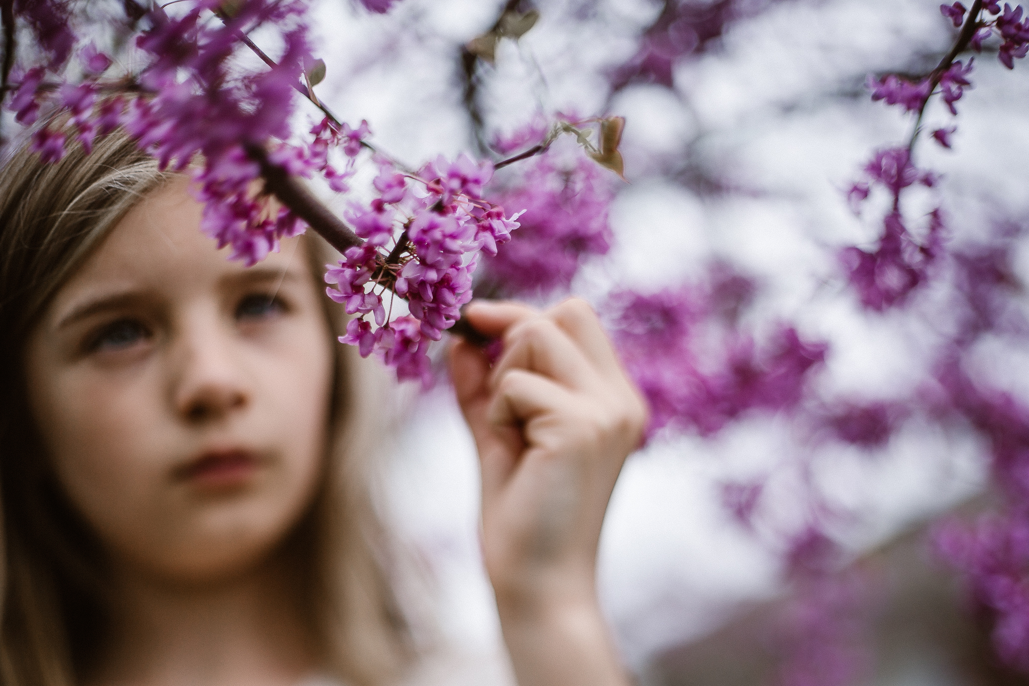 Freelensed portrait of a girl touching a purple spring tree blossom.